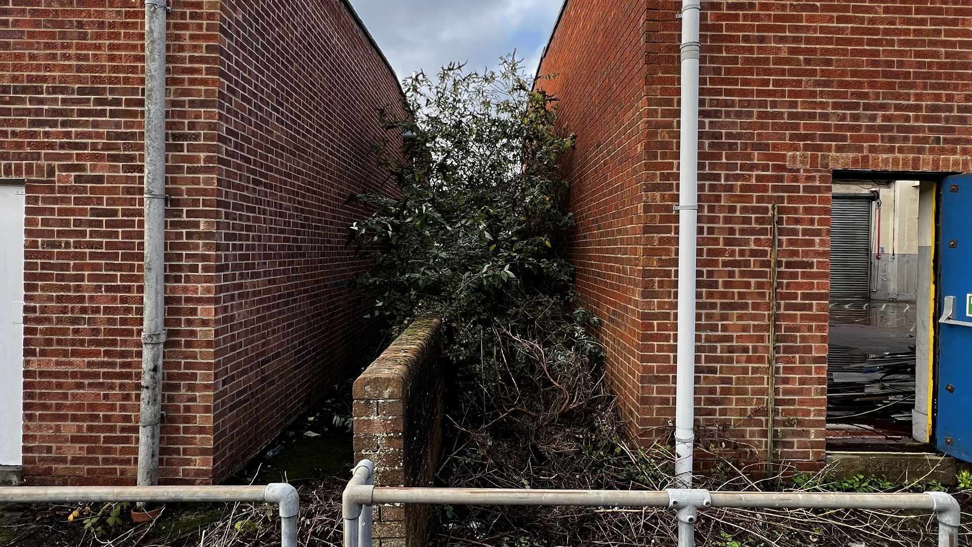 Who Should You Contact First — The Council, a Surveyor, or Your Neighbour Oxford?